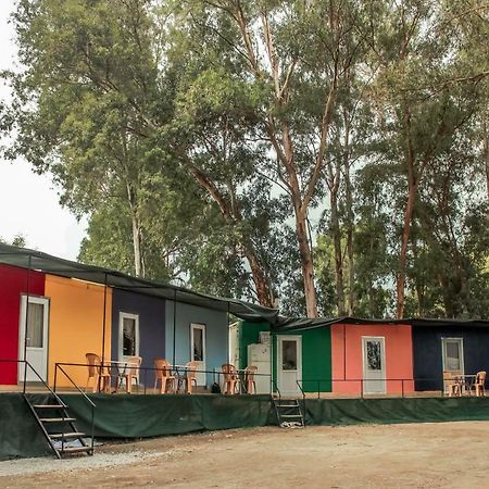 Patara Woody Hostel & Camping Eksteriør billede