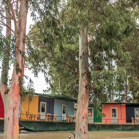 Patara Woody Hostel & Camping Eksteriør billede